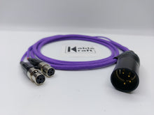 Load image into Gallery viewer, Audeze Neutrik 4pin XLR Purple
