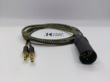 Load image into Gallery viewer, Hifiman Neutrik 4pin XLR - Gold Silver Black
